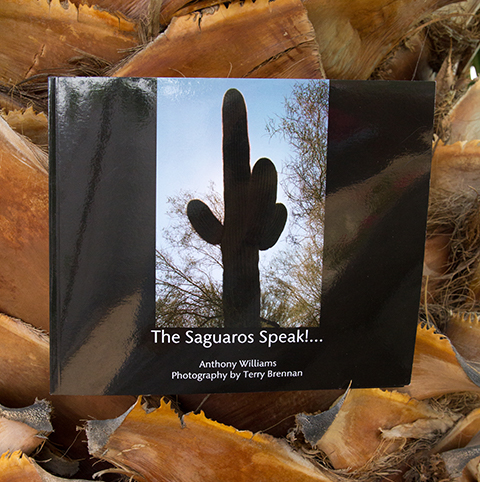 Soft Cover Book